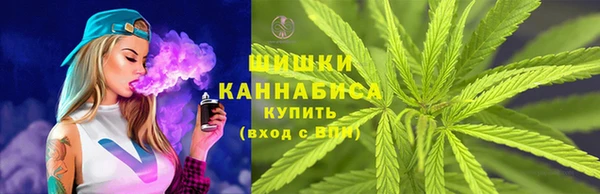 твердый Ладушкин