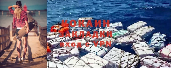 твердый Ладушкин