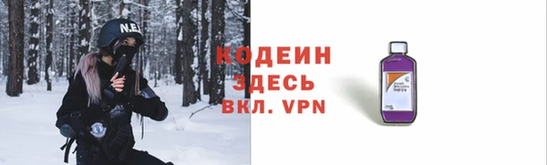 твердый Ладушкин