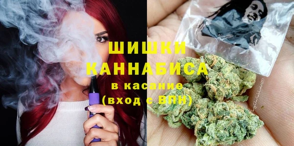 твердый Ладушкин