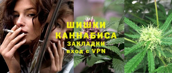 твердый Ладушкин