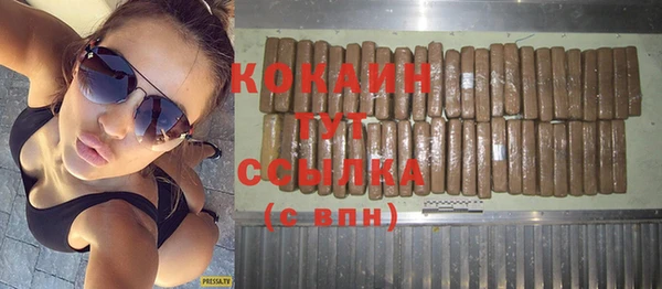 соль ск Ивангород