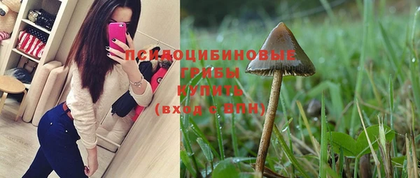 твердый Ладушкин