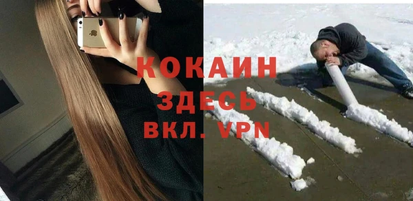 твердый Ладушкин